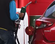 Albanese Government Weighs Further Household Relief Amid Global Fuel Crisis