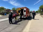 Arizona Hiker Hospitalised After Sustaining Multiple Bee Stings Near Phoenix