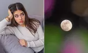 Astrologers Warn of High Stress and Relationship Dramas Under Potent Pink Moon