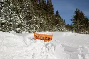 Avalanche Experts Question Guide Decisions in Deadly California Backcountry Tragedy