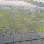 Banish Green Algae from Patios in 5 Minutes Using Two Simple Ingredients