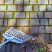 Banish Patio Moss Permanently with a £1.40 Kitchen Staple, Say Experts