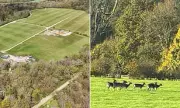 Beaulieu Estate Wins Car Park Approval in New Forest Amid 'Trojan Horse' Fears