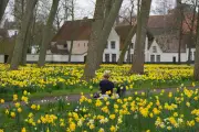 Belgium's Beguinages: Serene Sanctuaries for Women Through Centuries