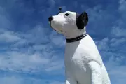 Beloved Nipper Dog Statue's Fate Uncertain as Albany Warehouse Declines