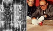 Biblical Scholar Points to Pollen Evidence Supporting Shroud of Turin's Authenticity