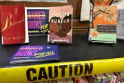 Book Banning Hits Record Highs in US Libraries, 'Sold' Tops Challenged List