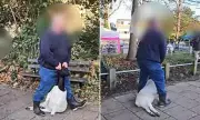 Bournemouth Goats Faces Outrage Over Disturbing Animal Cruelty Video