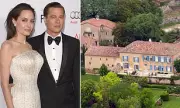 Brad Pitt Fights Angelina Jolie's Bid to Delay $164 Million Winery Trial