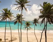 Bridesmaid denied UK transit visa costs couple £2,000 for Barbados wedding