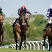 Brighton Racecourse Cancels 2026 Season Opener Over Track Safety Concerns