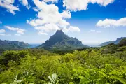 British Teen Killed by Speedboat While Snorkelling in Tahiti