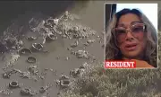 California Beach Residents Flee as Toxic Sewage Odor Hits 150 Times Safety Limit