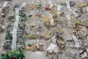 California Man Arrested for Swapping $30,000 Lego with Pasta in Bizarre Theft Scheme