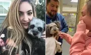 California Woman Reunited with Dog After Five-Year Disappearance