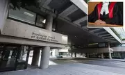 Canadian Man Gets Six Months for Assaulting Stepson, Heritage Cited