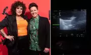 Casey Donovan Completes First IVF Embryo Transfer with Fiancée Renee Sharples