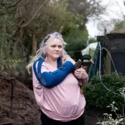 Chemical Plant Contamination Warning: Families Told to Avoid Home-Grown Produce