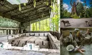 Chernobyl's Frozen World: 40 Years After the Nuclear Catastrophe