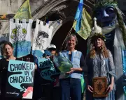 Chicken Producers Challenge River Pollution Lawsuit in High Court