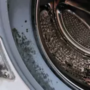 Clean Washing Machine Mould in 15 Minutes with Vinegar, No Bleach Needed