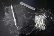 Cocaine Pollution Alters Wild Salmon Migration Patterns, Study Reveals