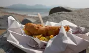 Cod and Chips Under Threat as Scientists Urge Switch to Sustainable Fish