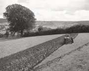 Country Diary 1951: The Dreadful Rush of Spring Farming