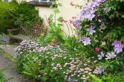Create a Stunning Cottage Garden in the Smallest Spaces
