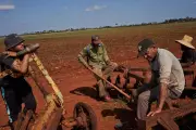 Cuban Farmers Struggle Under Trump Sanctions and Fuel Shortages in Artemisa