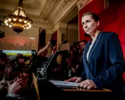 Danish Democracy in Crisis: The Boomerang Effect of Centrist Rule