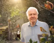 David Attenborough's Secret Garden and Keanu Reeves in Outcome Lead Culture Reviews