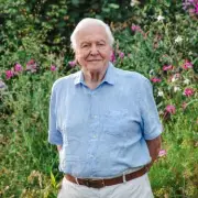 David Attenborough's Secret Garden Stuns Viewers with Wildlife Drama
