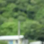 Death In Paradise Renewed for Two More Series and Christmas Specials