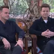 Dec Donnelly 'Outraged' by Gemma Collins' Bizarre Air Fryer Claim on I'm A Celebrity