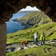 Dog-Friendly UK Destinations: How Pets Shape Holiday Choices