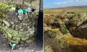 Dog Waste Bags Desecrate Ancient Hadrian's Wall, Sparking Outrage