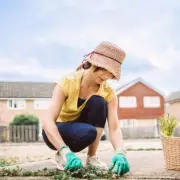 Don't Throw Away Weeds: Gardener Reveals Surprising Money-Saving Benefit