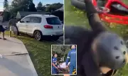 Driver Charged After Allegedly Running Over Teen on E-Bike in Sydney