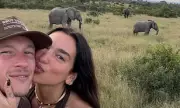 Dua Lipa Shares Safari Adventure in South Africa Amid Wedding Plans