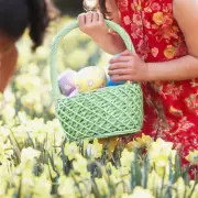 Easter Egg Hunt Tragedy in Germany as Falling Tree Kills Three Including Infant