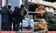 Economist Warns US-Iran War Could Lock in Decades of High Prices for Australia