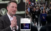 Elon Musk Warns Australians Could Become 'Endangered Species' Amid Record Low Birth Rate