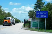 Environmental Groups Appeal to Court to Shut Florida's 'Alligator Alcatraz'