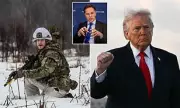 Europe Accelerates 'European NATO' Contingency Plan Amid US Reliability Concerns