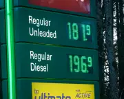 European Markets Plunge as Trump's Iran Speech Fuels Economic Catastrophe Fears