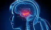 Expert Brain Health Series Reveals Memory Boost and Dementia Prevention Techniques