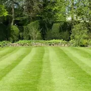 Expert Reveals One Simple Spring Task for a Luscious Summer Lawn