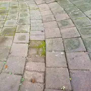 Experts Warn of 'Dangerous' April Patio Hazard and Share Simple Kitchen Fixes