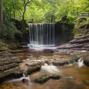 Family Discovers Enchanting Woodland Walk with Waterfalls and Bluebells